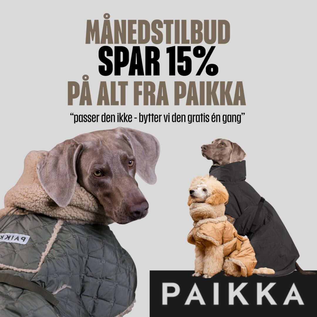 Orbiloc (3200 x 3200 px) (1)