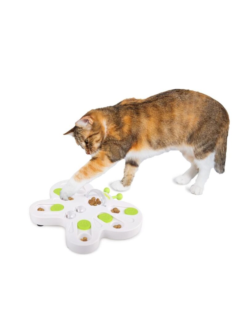 AFP Interactives Sommerfugl Puzzle