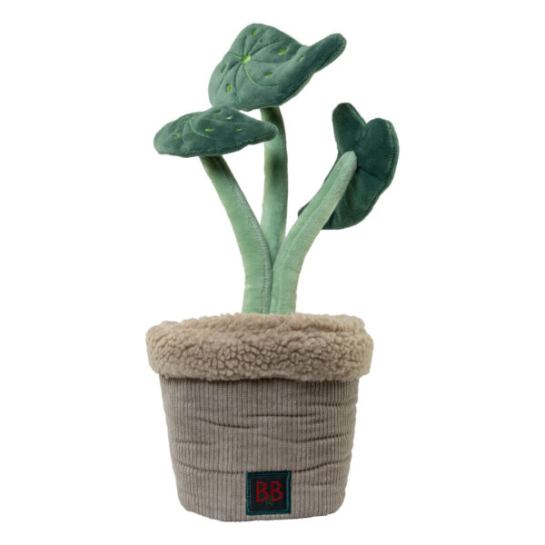 B&B Garden snusetæpppe til hunde plante