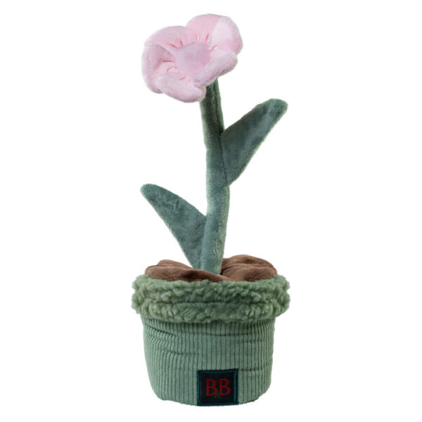 B&B Pawtanic Garden lyserød blomst