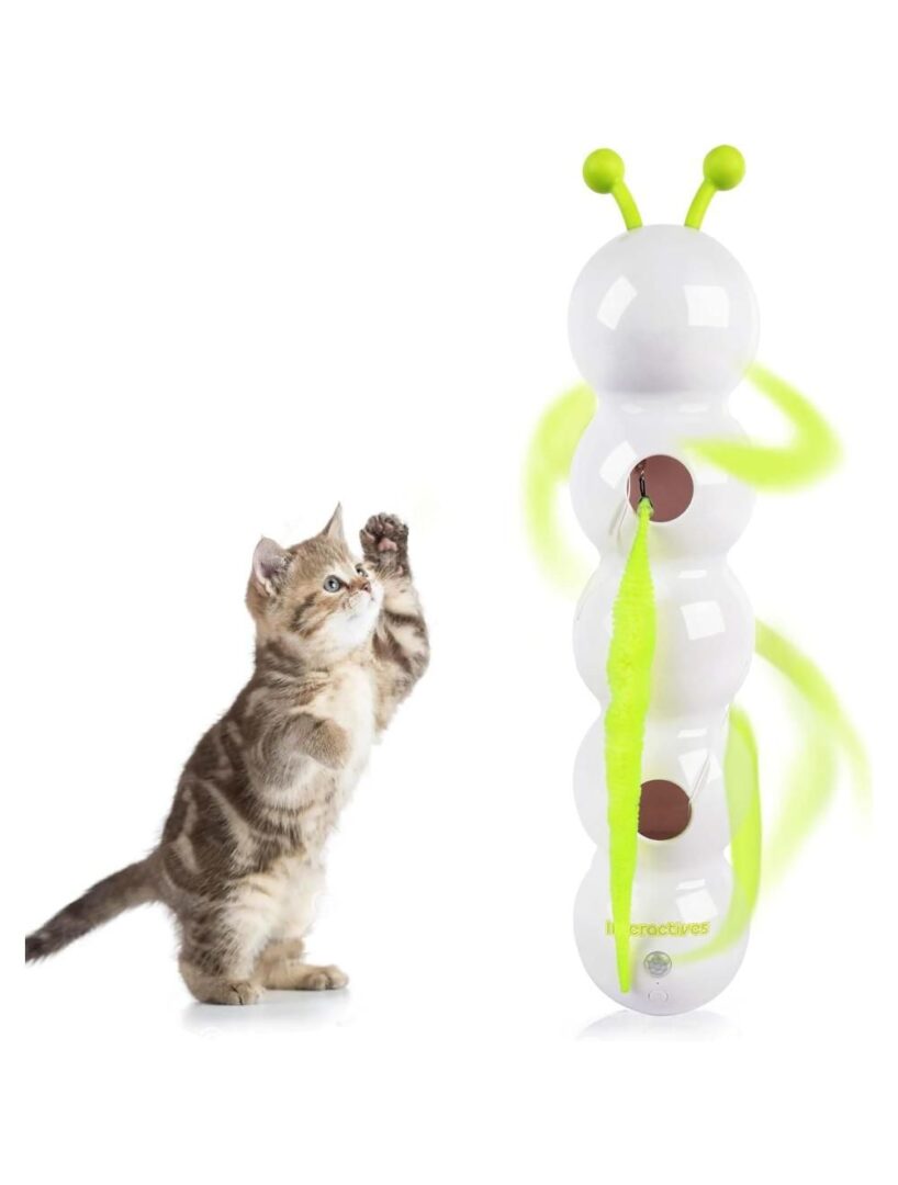 wack a worm afp legetøj til katte