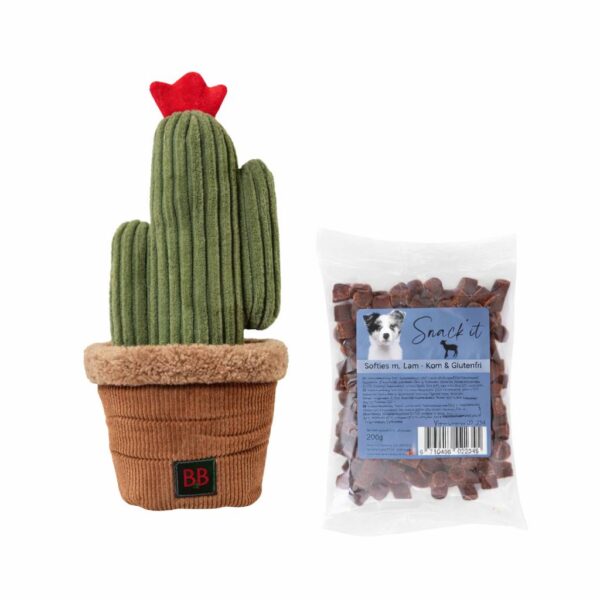 KAKTUS snuseplante med 1 pose godbidder