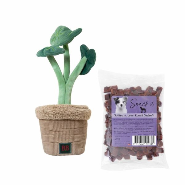 PLANTE snuseplante med 1 pose godbidder