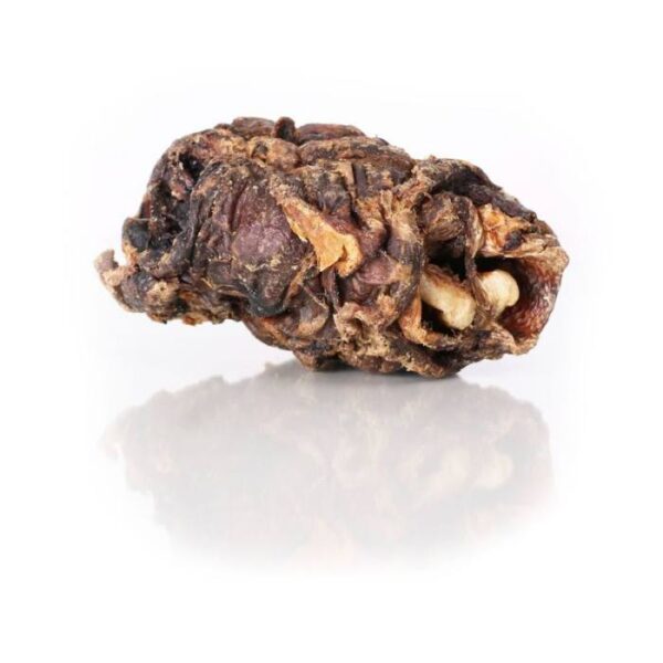 Tørret Oksetrube Hoved