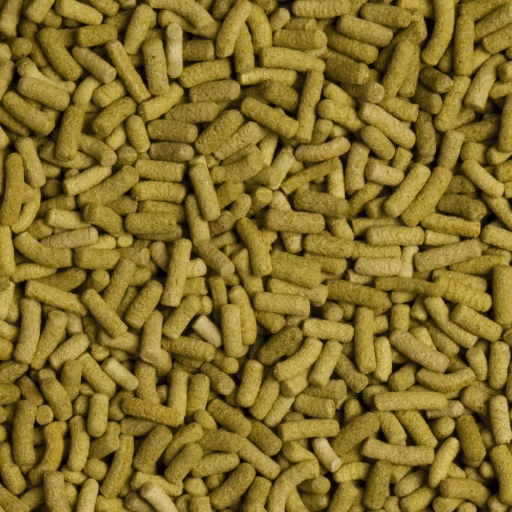 Tropical BiOREPT L Sticks140g - Image 2