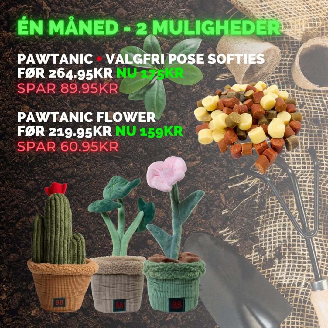 Orbiloc (3200 x 3200 px)-2