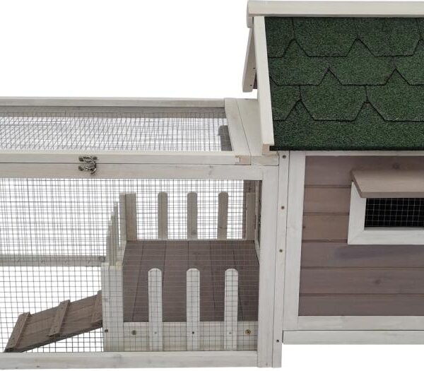 companion kaninbur hel