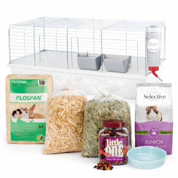 marsvin starter pakke med alt til dit nye marsvin