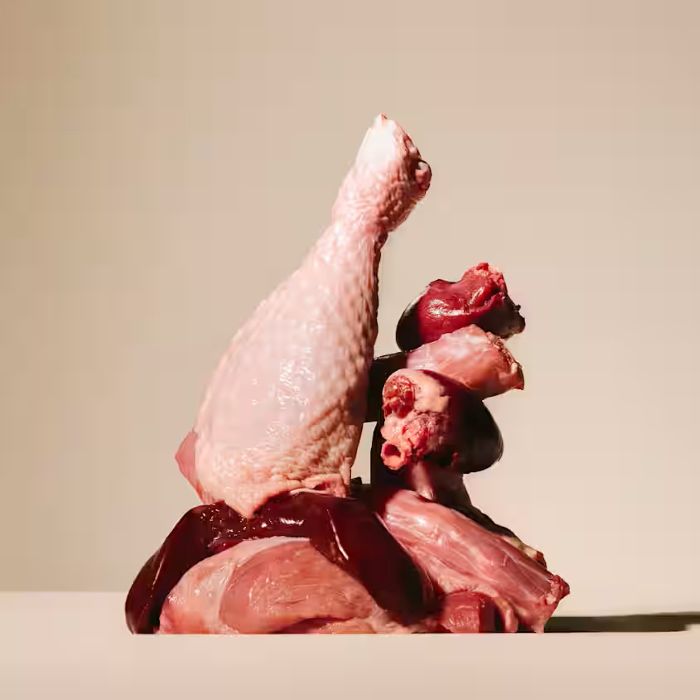 Carnilove Freeze-Dried Turkey 60g - Image 2