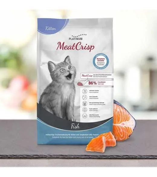 platinum-meatcrisp-kitten-fish-killingemad