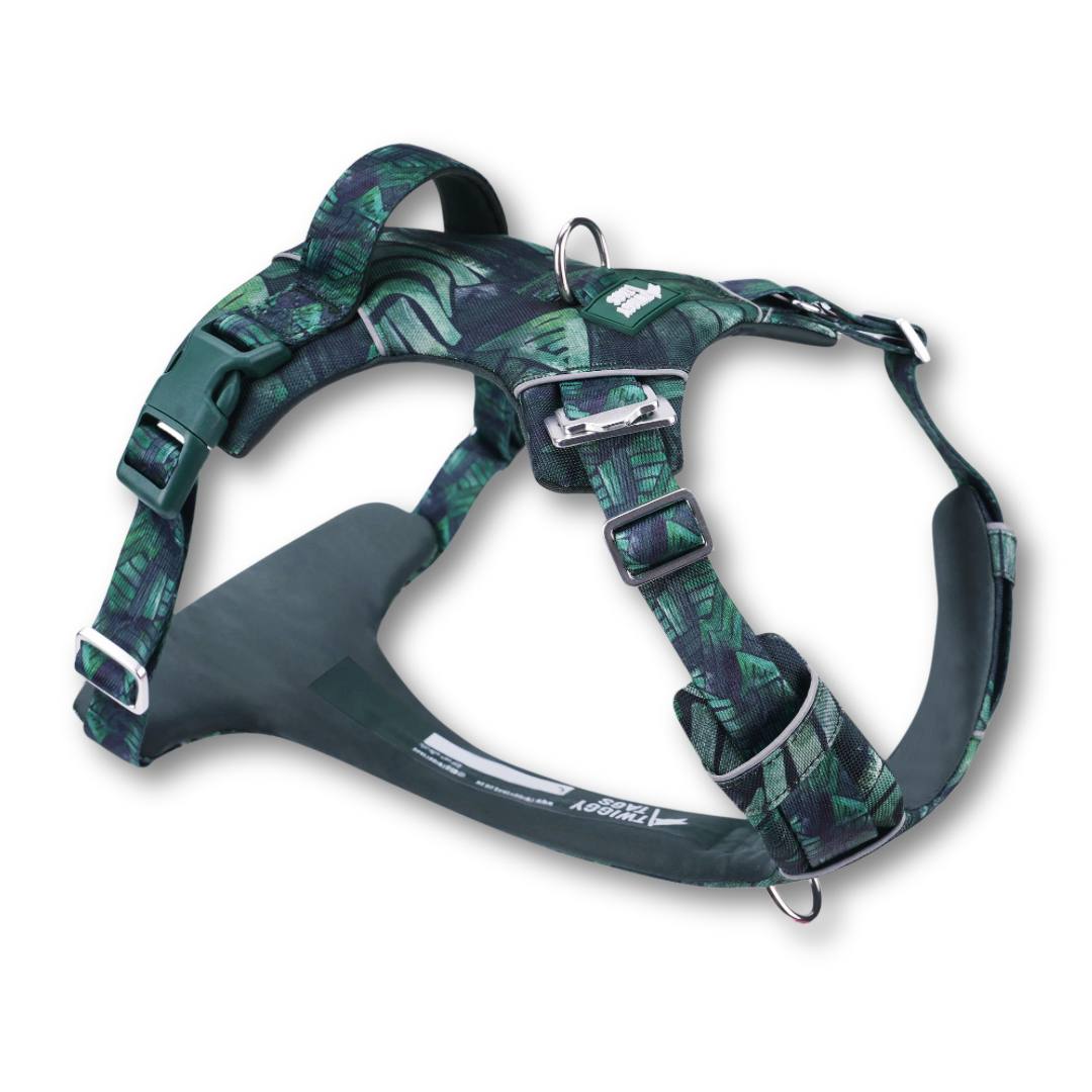 Twiggy Tags Adventure Canopy 2.0