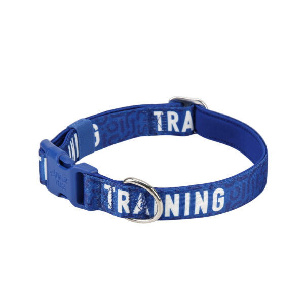 Twiggy Tags Awareness Halsbånd TRAINING
