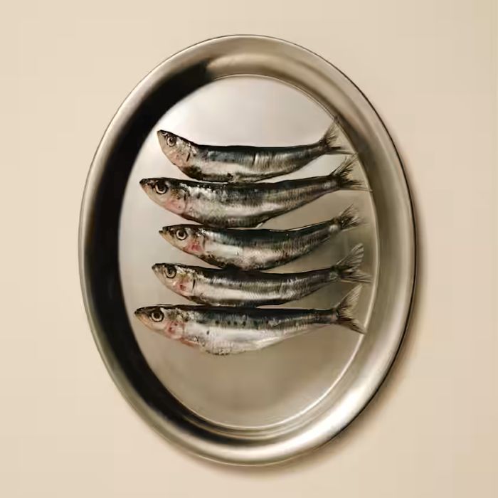 Carnilove Cat Soft Sardine Enriched With Strawberry 50g - Image 4