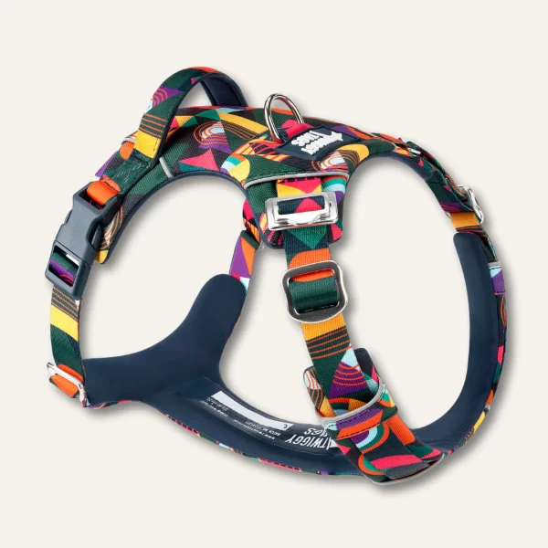 Twiggy Tags Adventure Harness aurora