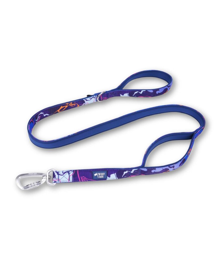 Twiggy Tags Close Control Lead Nebula