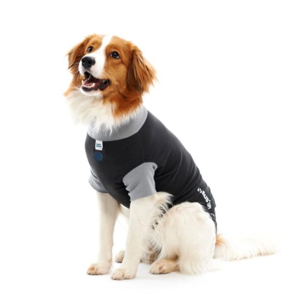Buster Body Suit EasyGo Hund