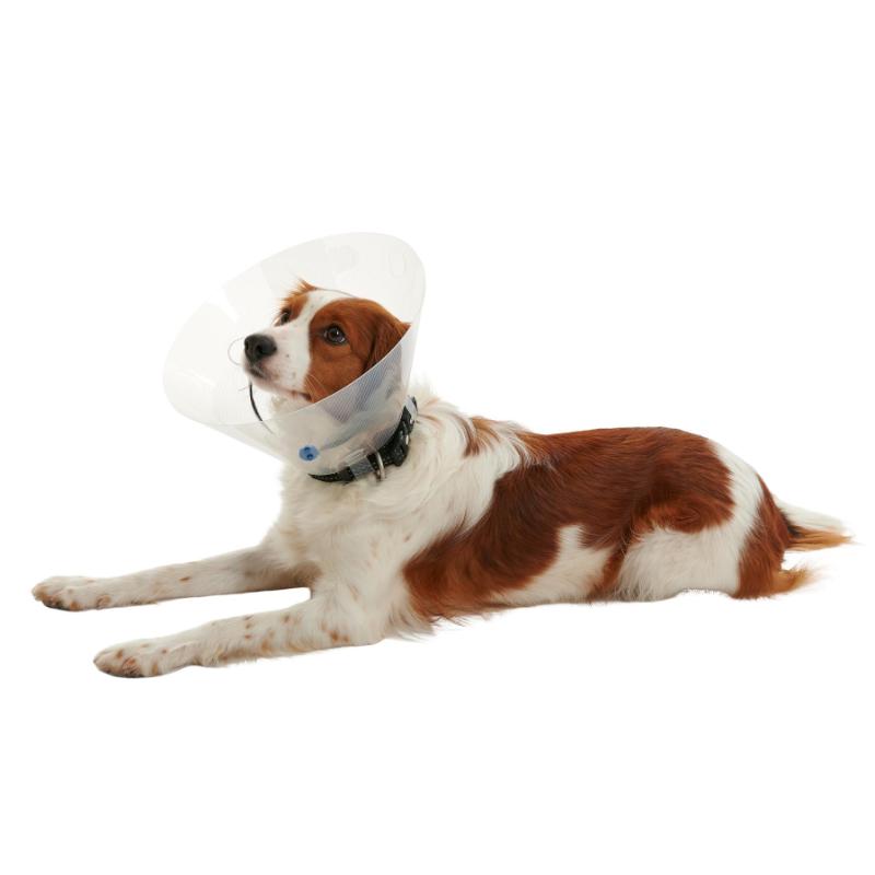 Buster Clic Krave - Image 2