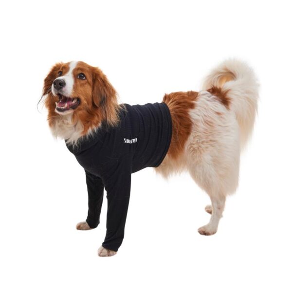 Buster Body Sleeves Forben