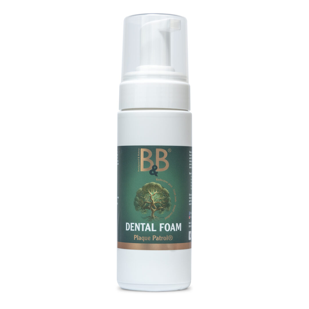 B&B Dental Foam Plaque Patrol