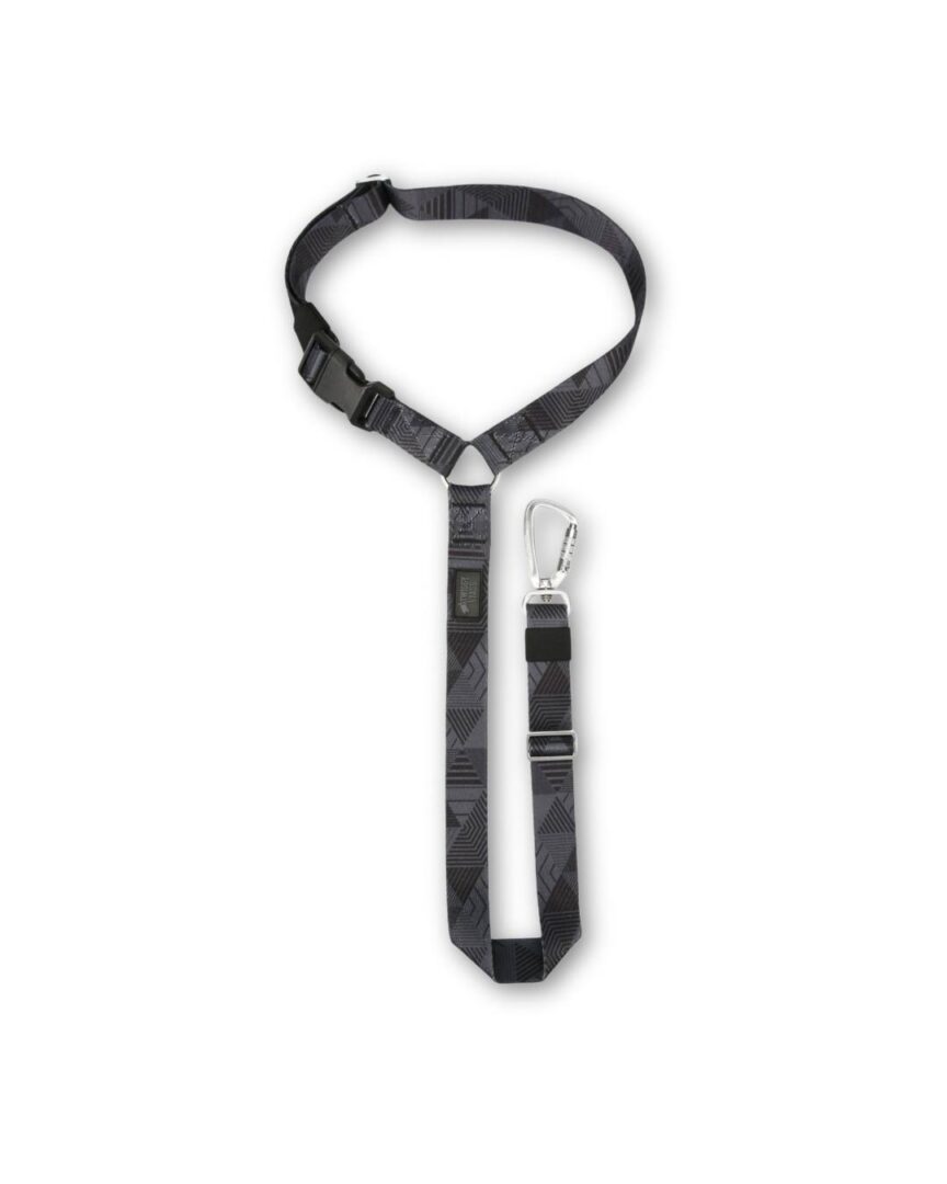 Twiggy Tags Headrest Setbelt