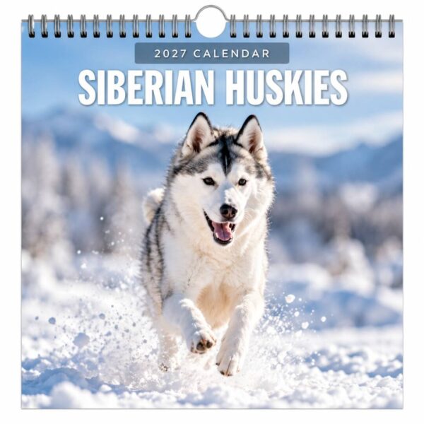 Kalender 2027 SIberian Husky
