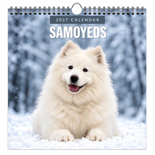 Kalender 2027 Samojed