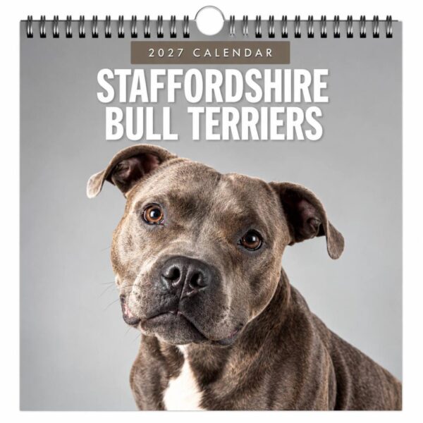 Kalender 2027 Staffordshire Bullterrier