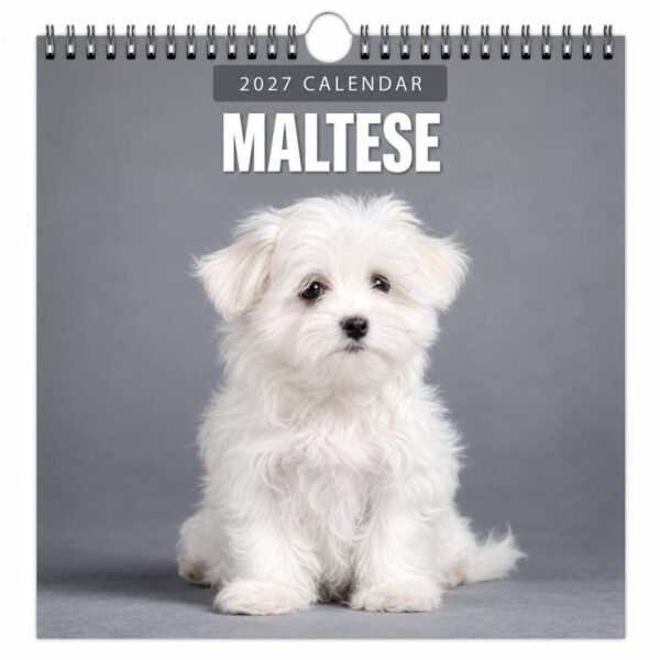 Kalender 2027 malteser