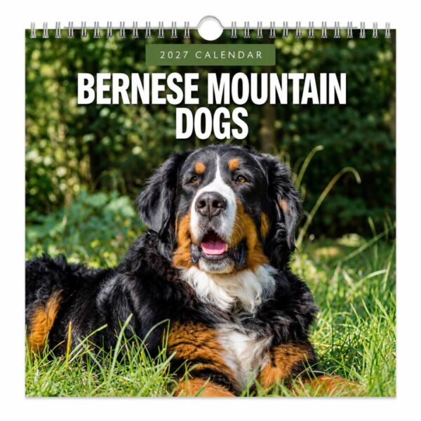 Kalender Berner Sennen 2027
