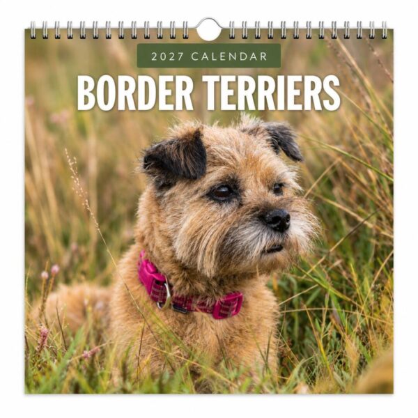 Kalender Border Terrier 2027