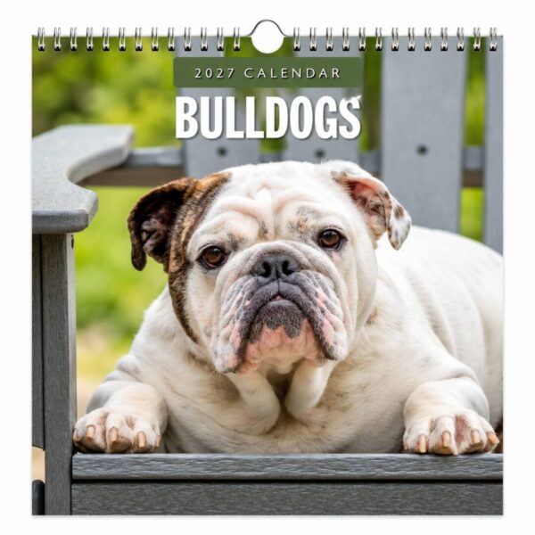 Kalender Bulldogs 2027