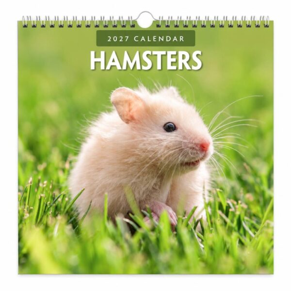 Kalender Hamster