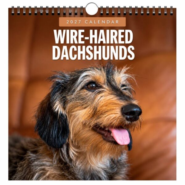Kalender Ruhåret Gravhund 2027