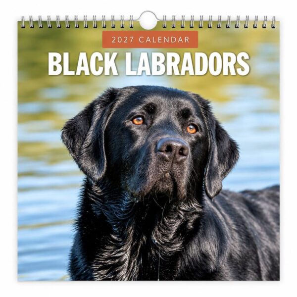 Kalender Sort Labrador 2027
