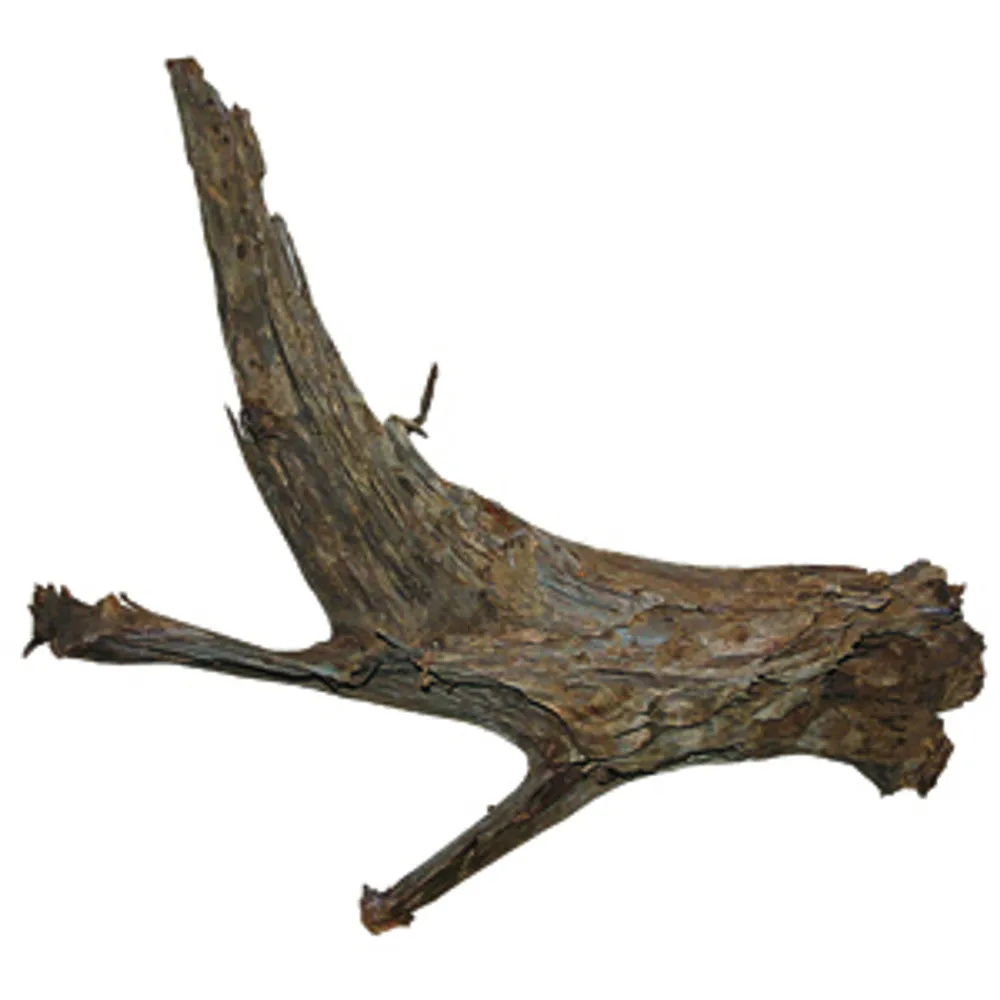 Mangroverod - naturlig dekoration - Image 2