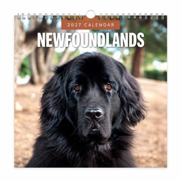 Kalender 2027 Newfoundland