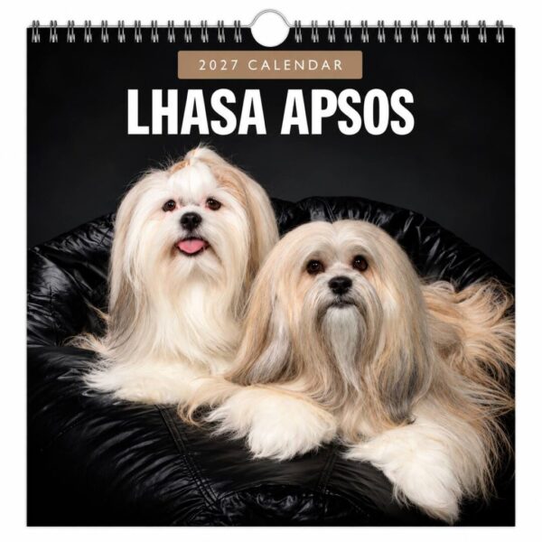 kalender 2027 Lhasa Apso