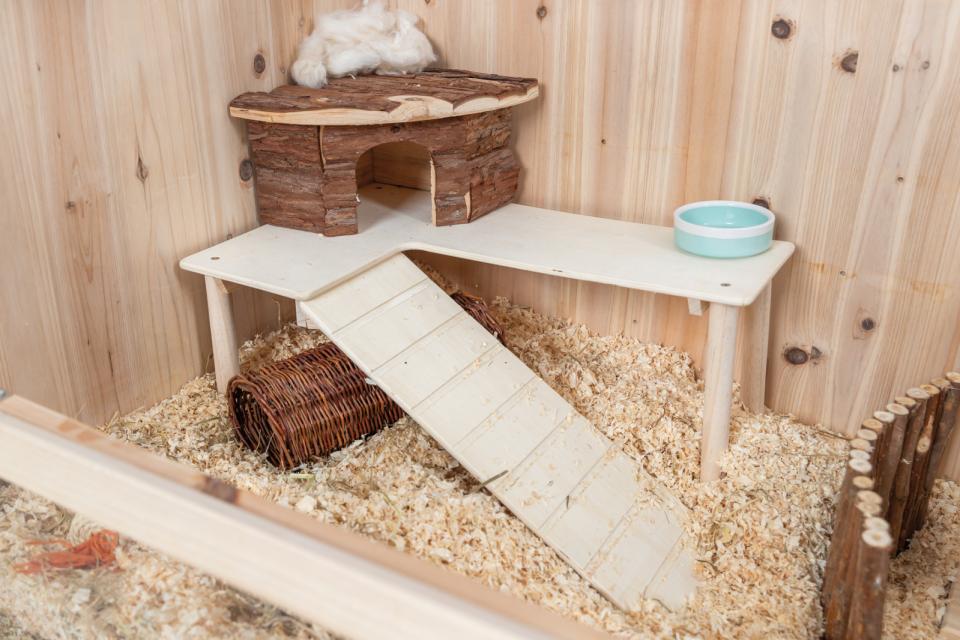 Trixie Platform med Rampe til hamster - Image 3