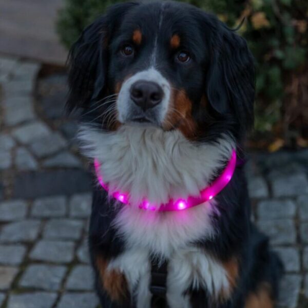 Trixie Silicone Flash Light Ekstra Bred Halsbånd