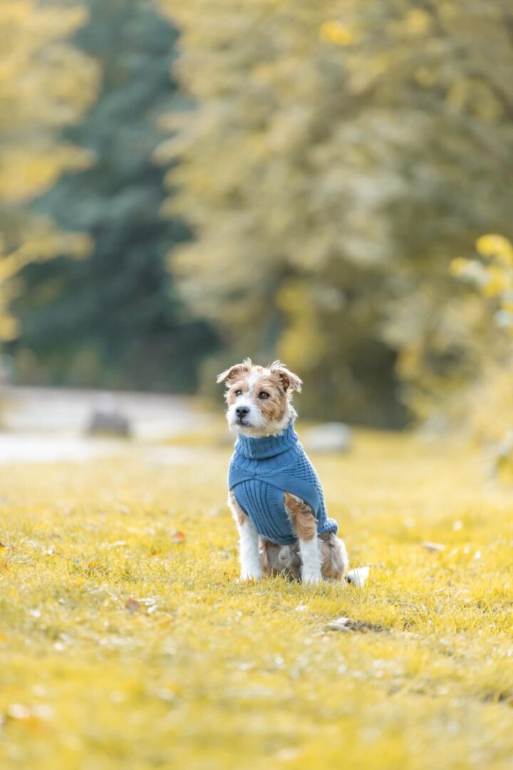 Trixie Norwood Blågrå Pullover - Image 2