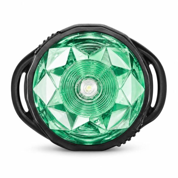 Orbiloc Dog Mini Mint