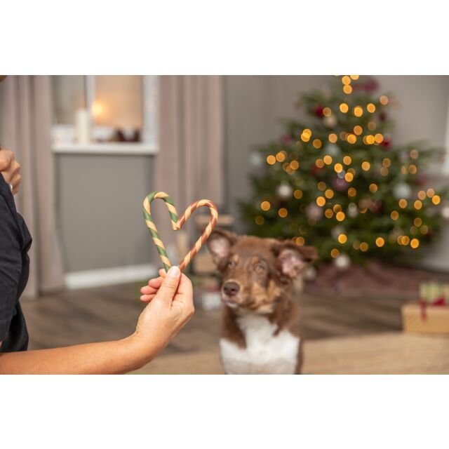 Trixie Xmas Candy Cane 20g - Image 2