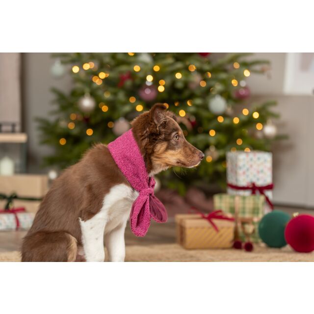 Trixie Xmas Bow Bordeaux Scarf - Image 2