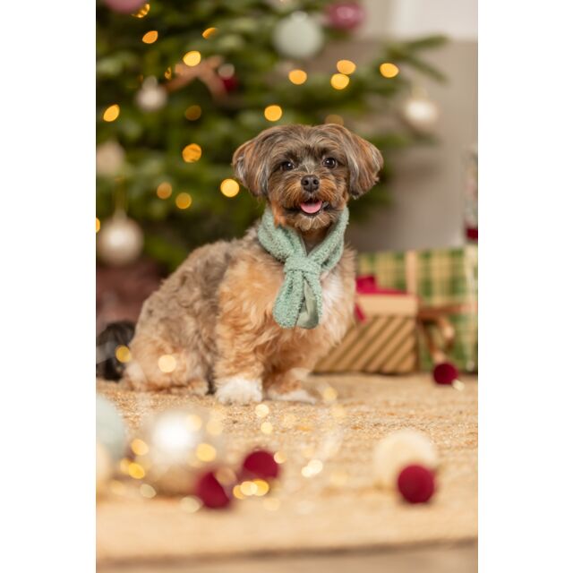 Trixie Xmas Sage Scarf - Image 2
