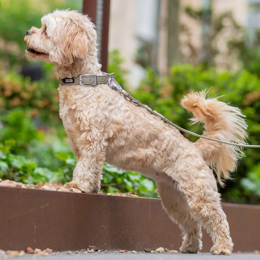 DOG COPENHAGEN Urban Classic Collar Mocca - Image 4