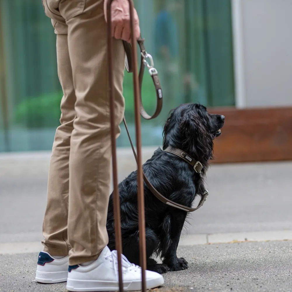 DOG COPENHAGEN Urban Classic Collar Mocca - Image 5