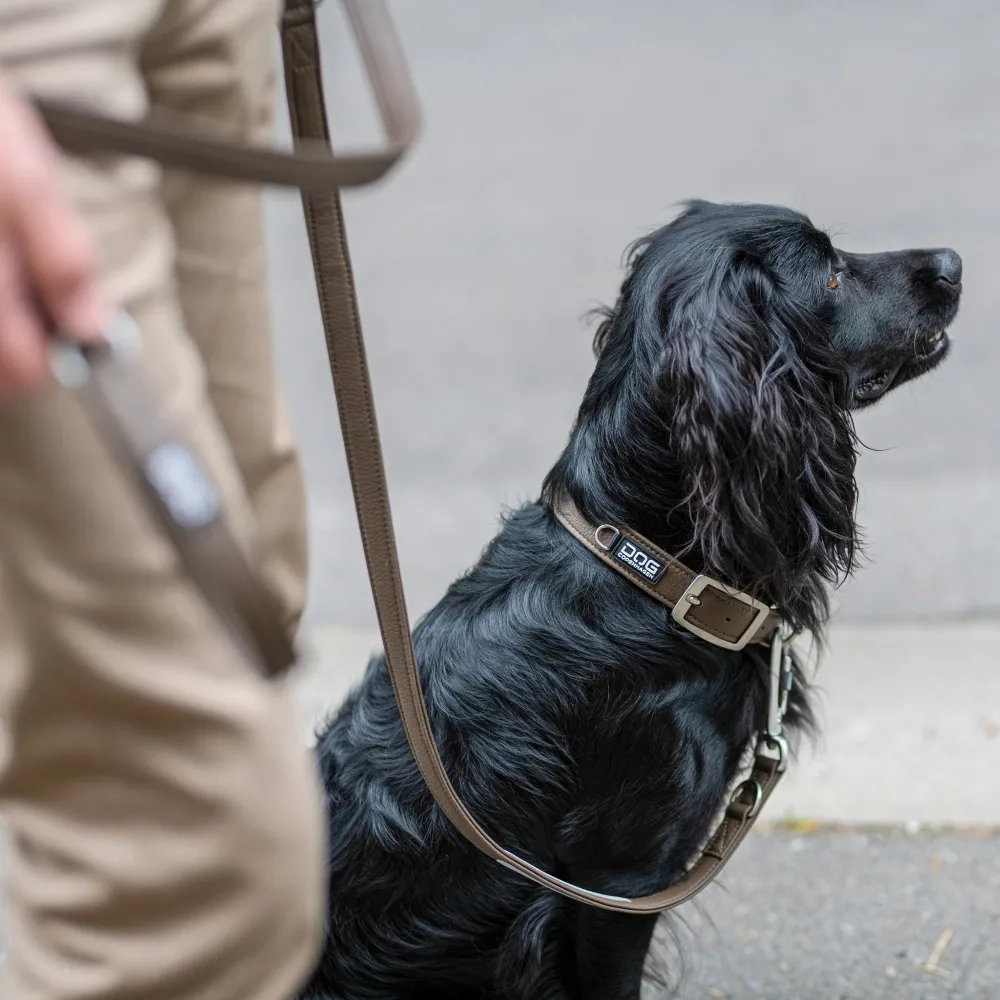 DOG COPENHAGEN Urban Classic Collar Mocca - Image 6